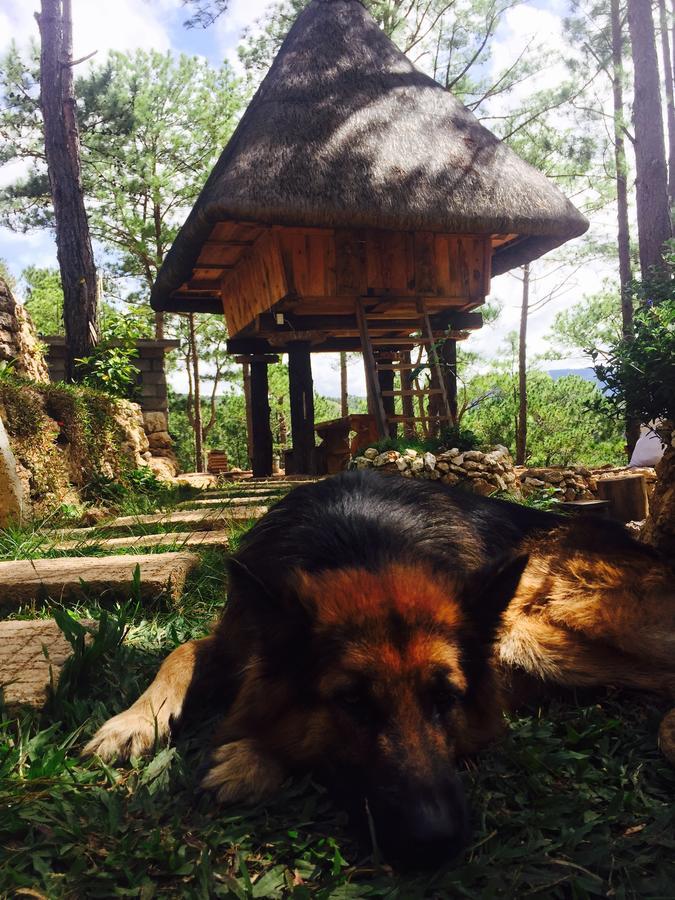 Sagada Heritage Village المظهر الخارجي الصورة