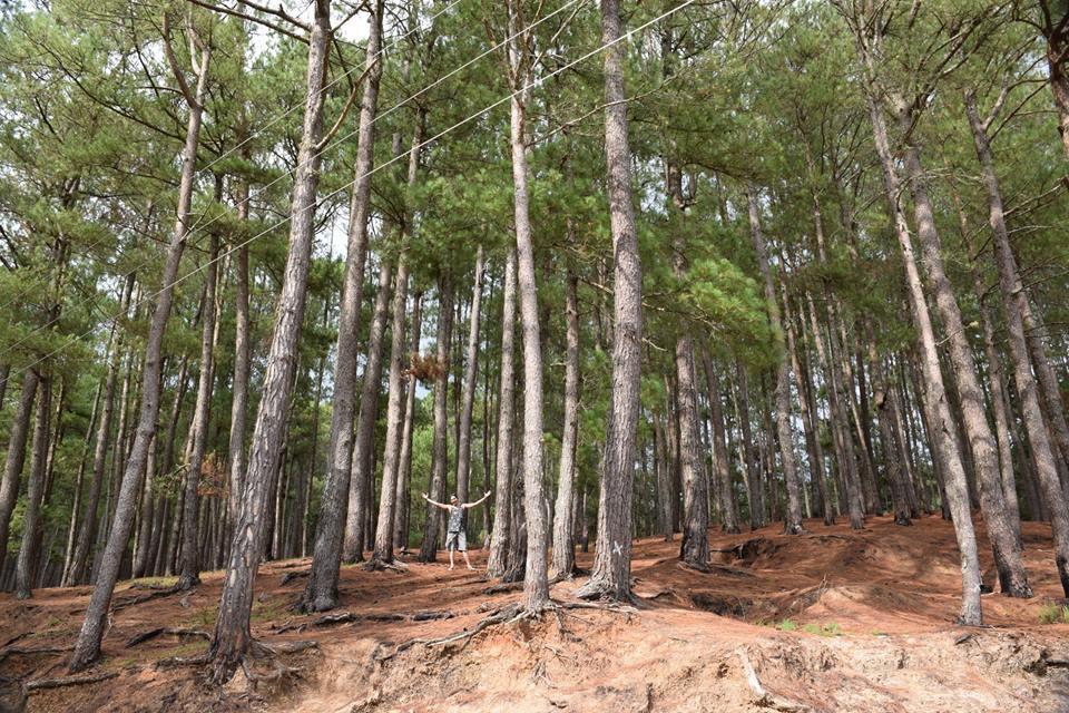 Sagada Heritage Village المظهر الخارجي الصورة