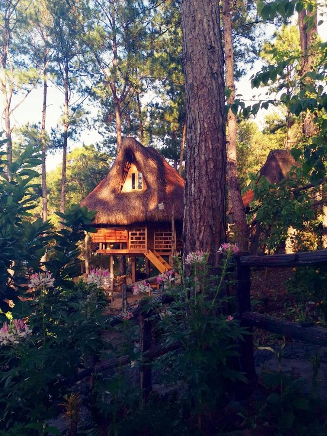Sagada Heritage Village المظهر الخارجي الصورة